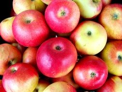 organic yellow-red apples in a box in the market