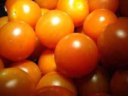 red cherry tomatoes