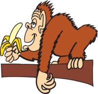 ape branch banana drawing