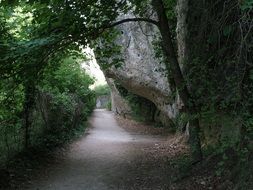 nature mountain trail