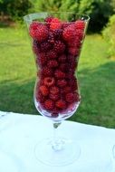 glass with raspberries on the table