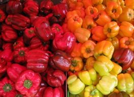 bright bell pepper, fresh vegetables