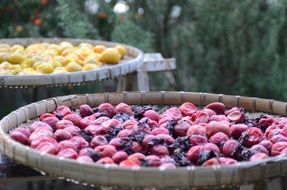 healthy dried plums in a bowl