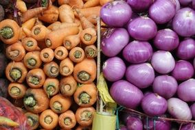 orange carrots and purple onions