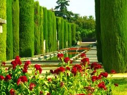 beautiful trees and flowering beds in a park in Cordoba