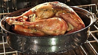fresh and beautiful turkey in oven