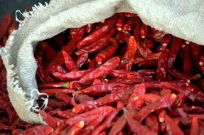 lots of small dry chili peppers in a bag