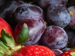 bowl of healthy fresh fruits strawberry plum