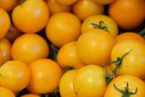 Fresh Yellow small tomatoes
