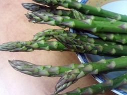 healthy asparagus lying on the plate