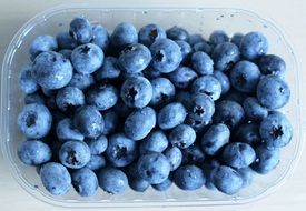 blueberries as a storehouse of vitamins