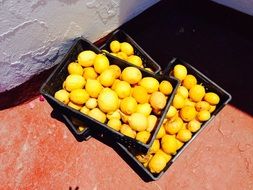 boxes of lemons