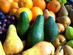 fruit mix