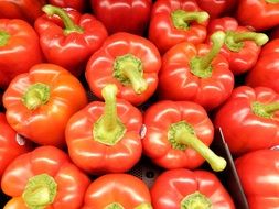 fresh red bell peppers