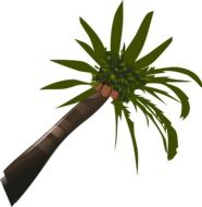 tall palm tree drawing
