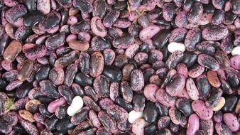 colorful beans on the market