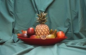 fruit plate for photo shoot