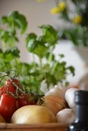 fresh tomatoes potatoes onions on dish