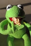 frog kermit eating cookie close-up on blurred background