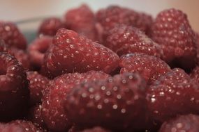summer fresh raspberries food sweet macro photo