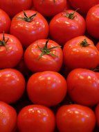 dainty tomatoes vegetables