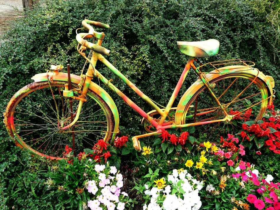 the bike in the flower bed