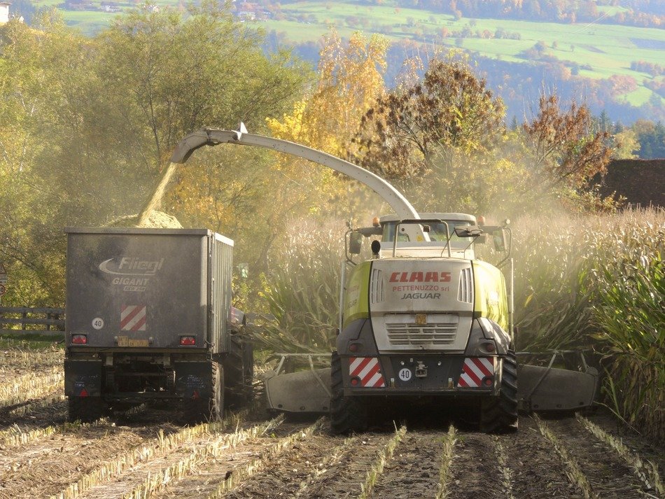 a harvester harvests