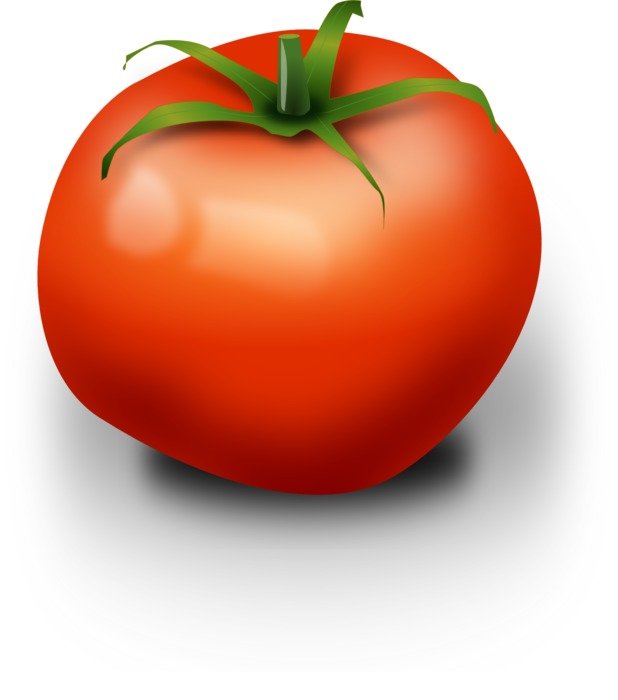 clipart,picture of healthy tomato