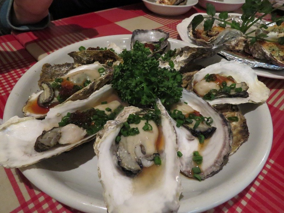 oysters on plate, japanese cuisine