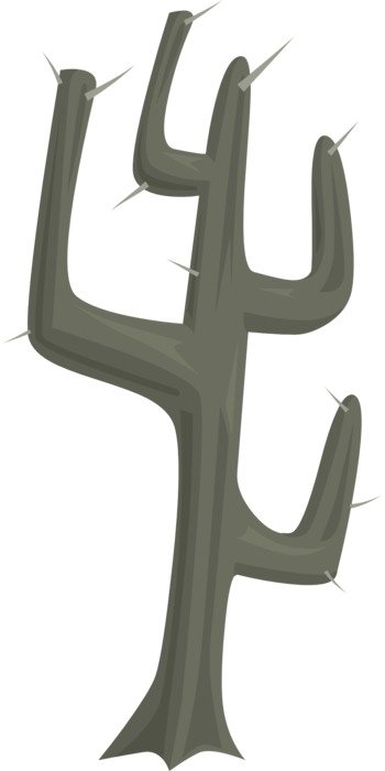 Drawing of the tall prickly cactus