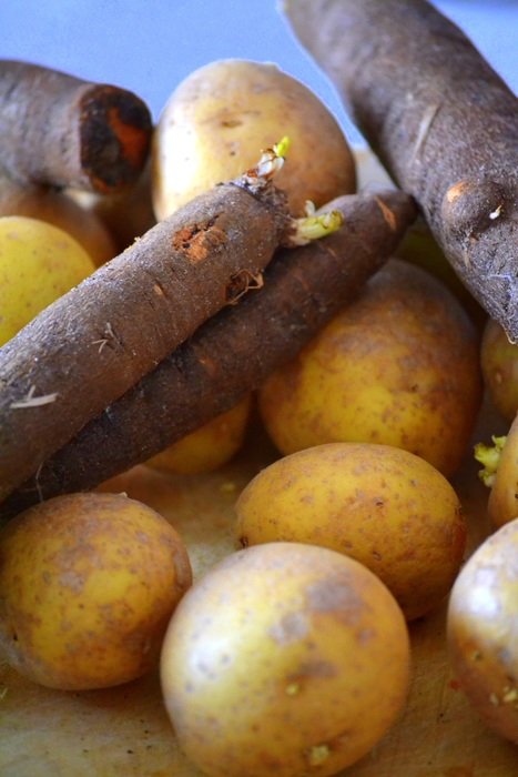 raw potato and salsify
