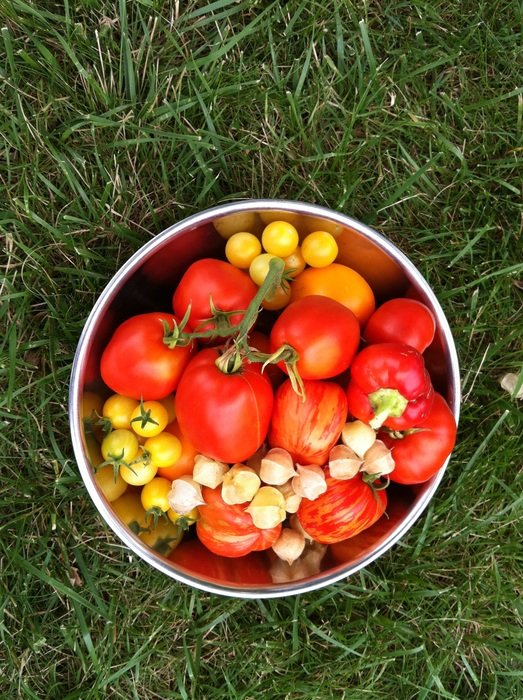 Bowl of vegetables in garden