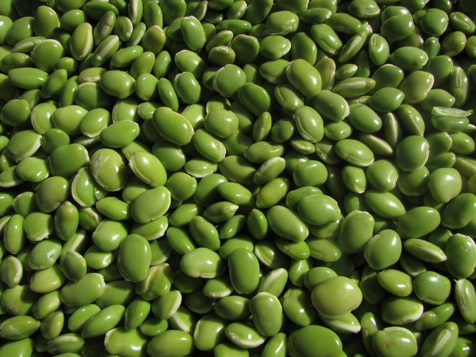 beans in the pot