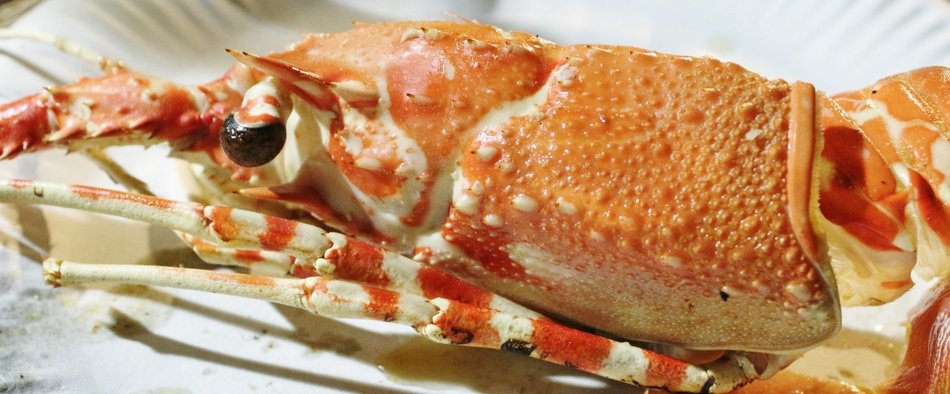 crabs as food for vibrant gourmets