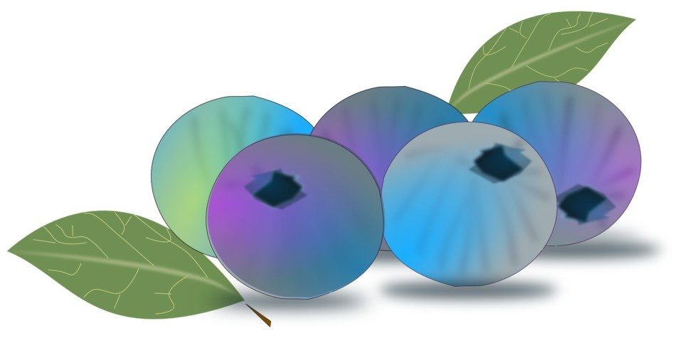 graphic image of appetizing blueberries