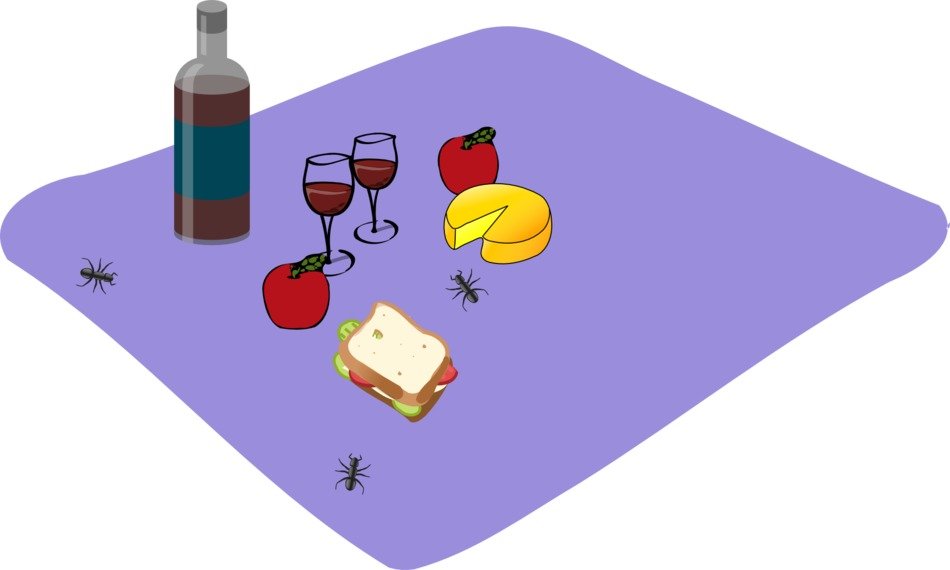 food for picnic on purple mat drawing