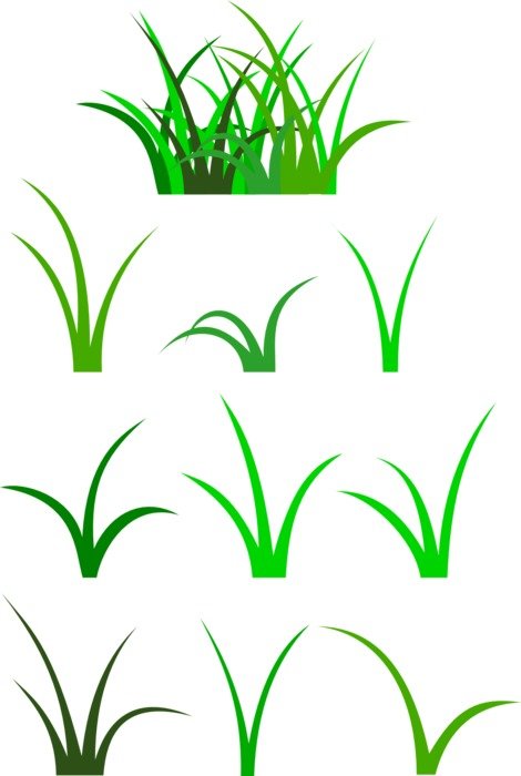 graphic image of different green grass