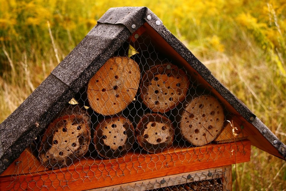 roof of the beehive