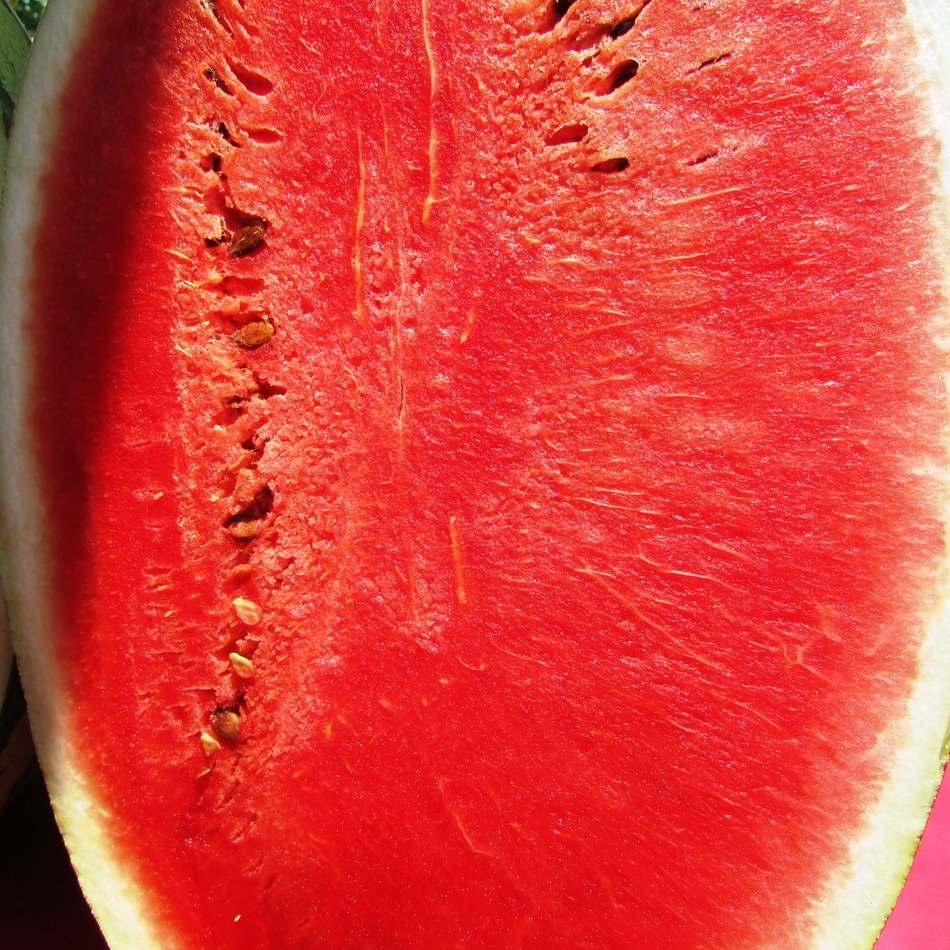 red summer juicy watermelon