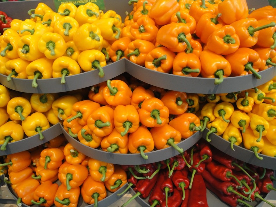 yellow and orange bell peppers and chilies on trails