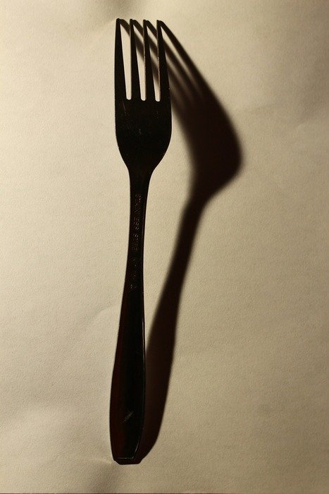 fork and fork's shadow