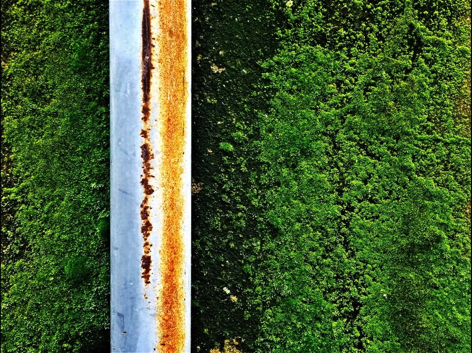 Green moss and rusted metal