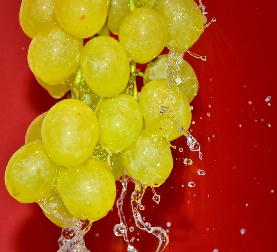 grape in drops of water