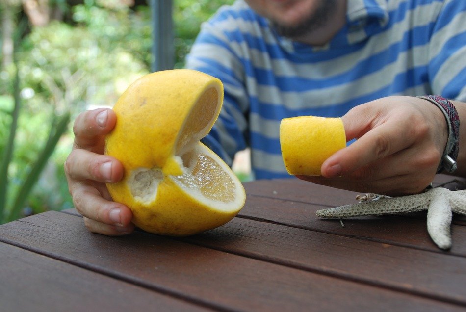 man eating lemon at the table
