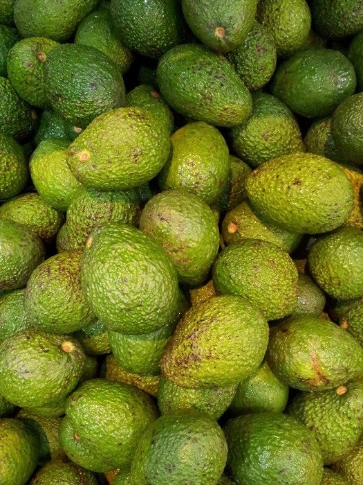 fresh and beautiful avocado fruit