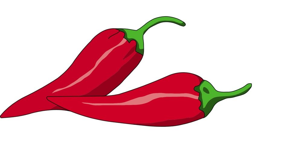 chilli red pepper drawing