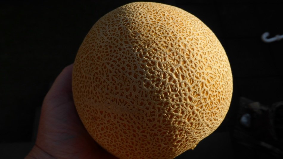 sweet power melon