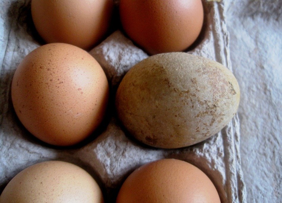fresh organic eggs in paper box close-up