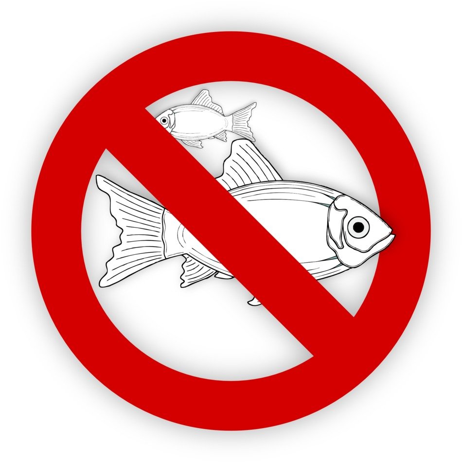 Allergy to the fish clipart