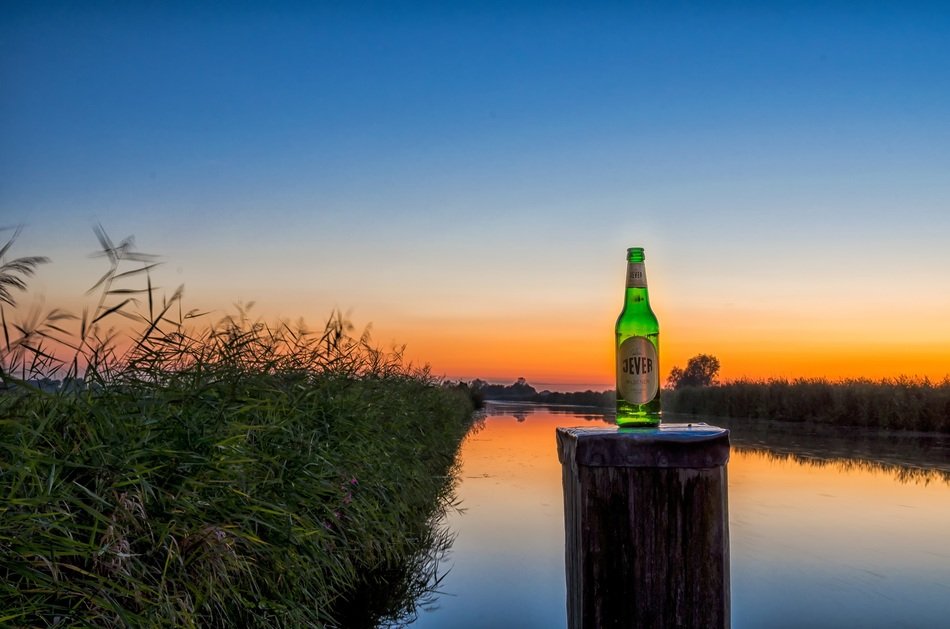 beer bottle on the stump at sunset